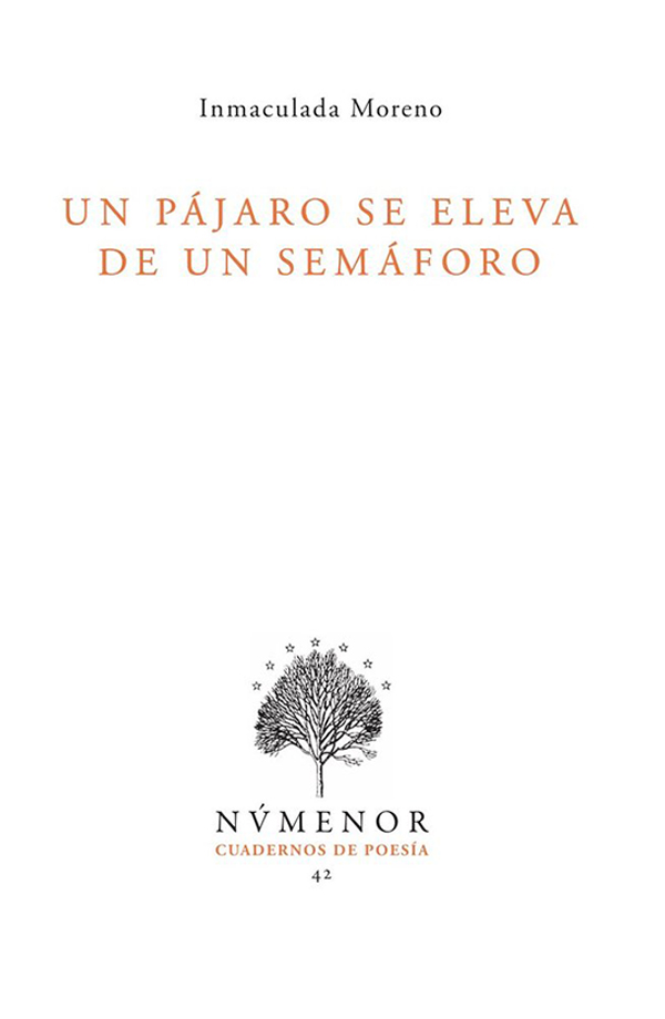 Portada de «Un pájaro se eleva de un semáforo», de Inmaculada Morenot (Númenor, 2025) en la revista Nuestro Tiempo, de la Universidad de Navarra.
